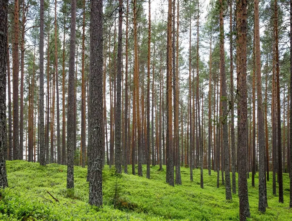 Пропоную в оренду екшн-камера GoPro у відмінному стані недорого, з бонусами