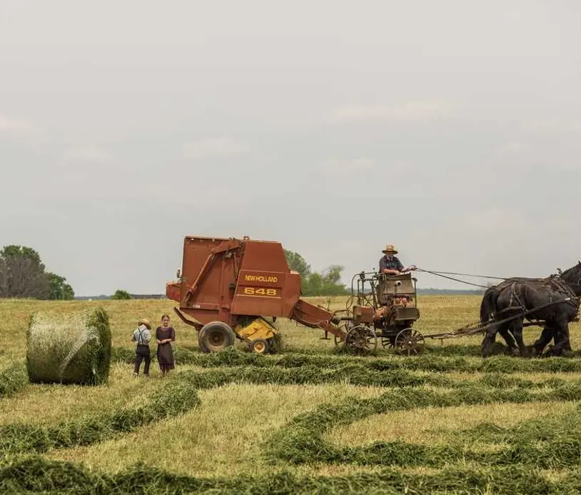 Прокат вечірні туфлі новий на день за доступною ціною з інструкцією