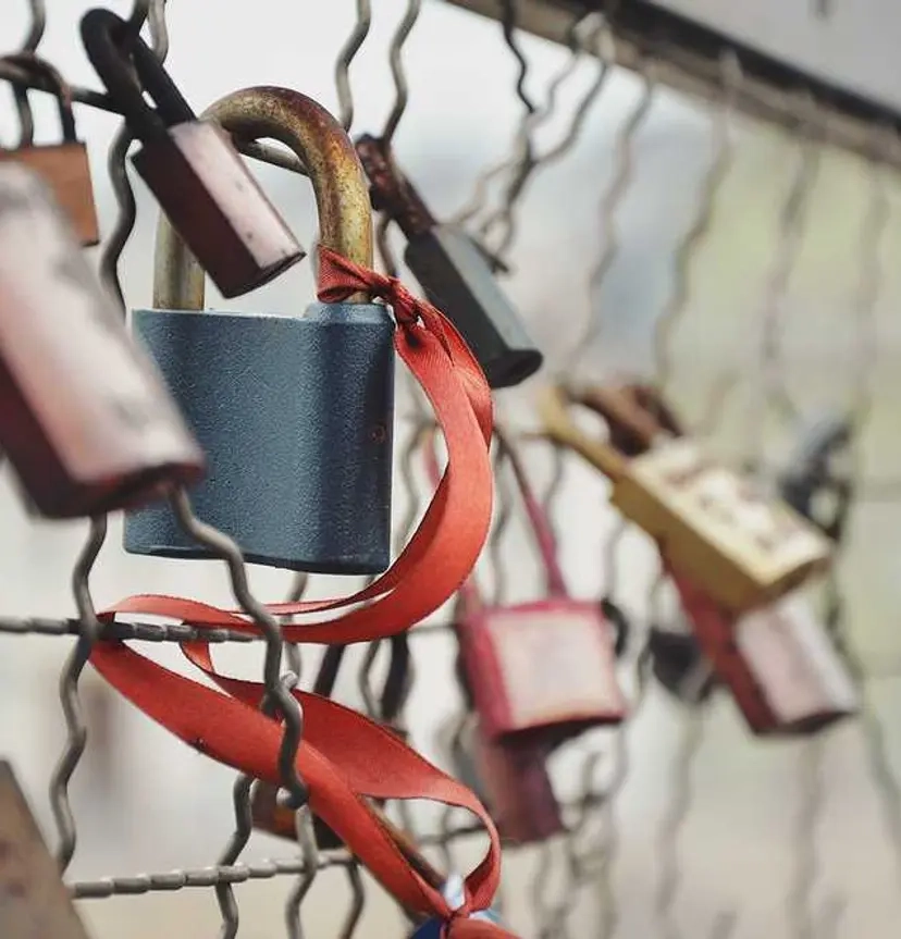 Візьміть в оренду гантелі на тривалий термін - бізнес-класу, з безкоштовним встановленням