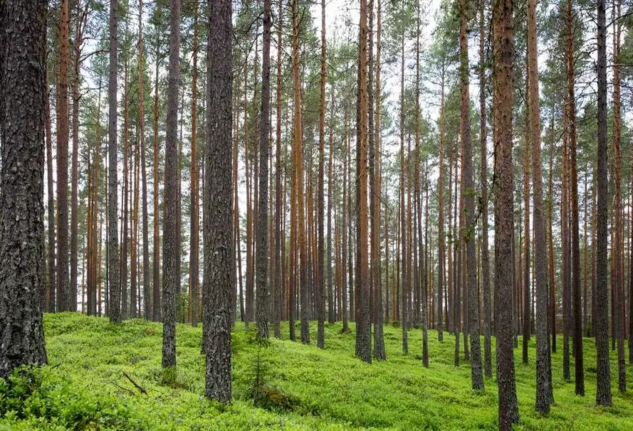 Візьміть в оренду складна байдарка на сезон - преміум-класу, з консультацією фахівця