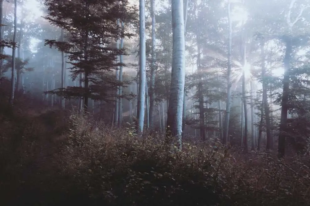 Прокат фотобудка бізнес-класу на вихідні за доступною ціною з гарантією