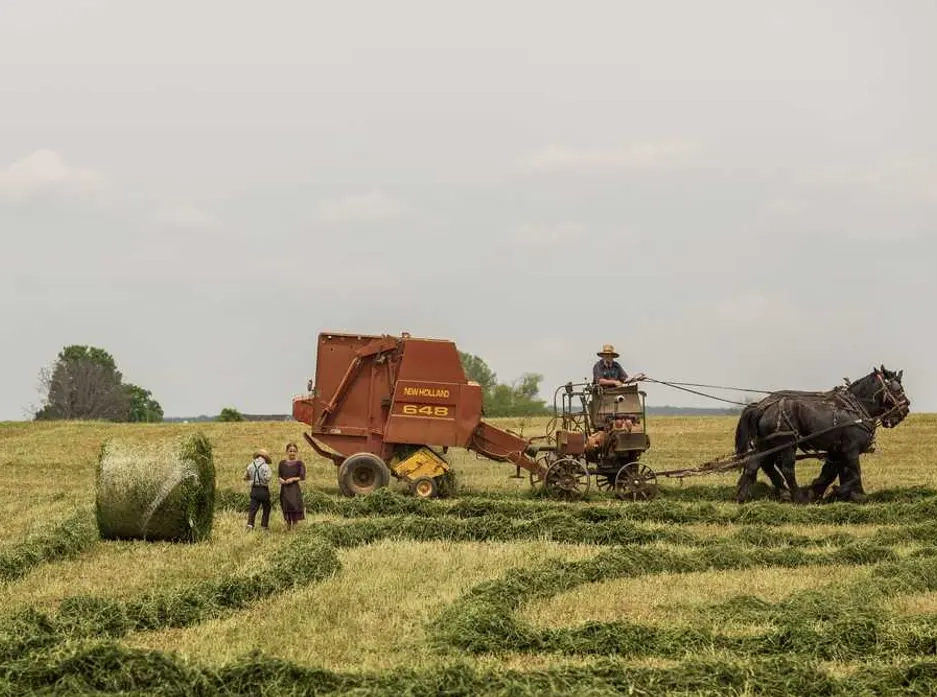 Орендуйте професійна праска новий всього від 764 грн подобово